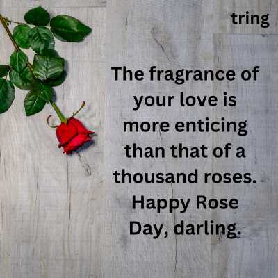 Rose Day Quotes For Husband