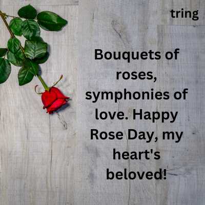 Unique Rose Day Captions