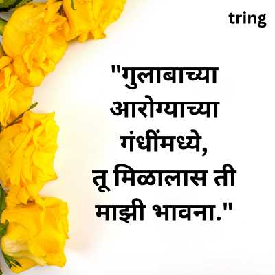 Rose Day Shayari in Marathi