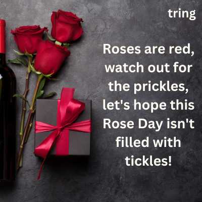Funny Rose Day Quotes