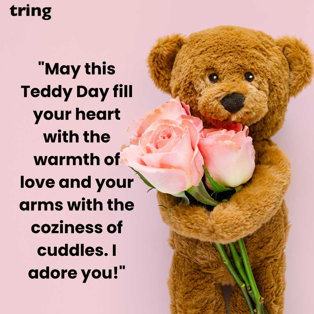 Romantic Teddy Day Images (2)