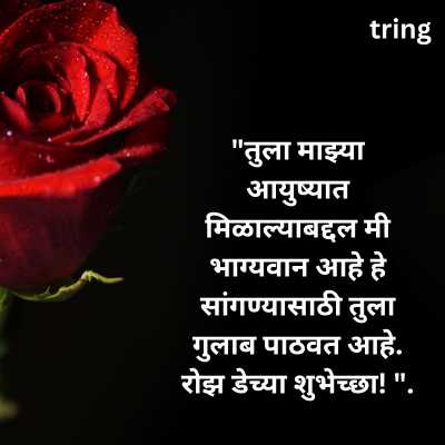 Rose Day Wishes in Marathi 