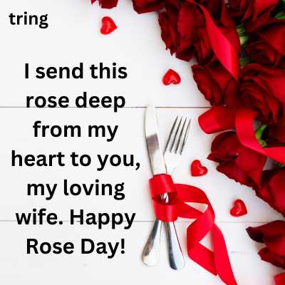 Rose Day Quotes for Wife