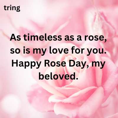 Romantic Rose Day Quotes