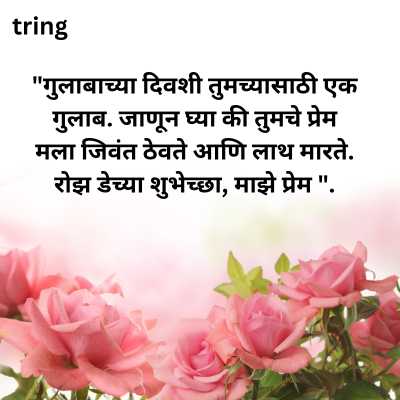 Rose Day Messages in Marathi