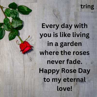 Rose Day Quotes for Husband