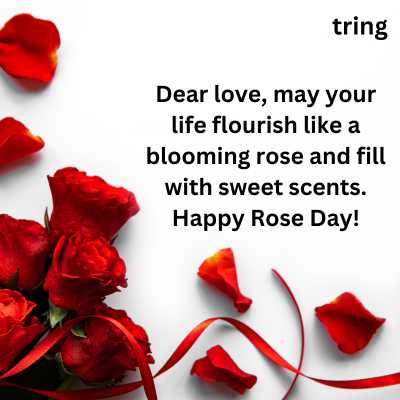 Happy Rose Day Quotes for My Love