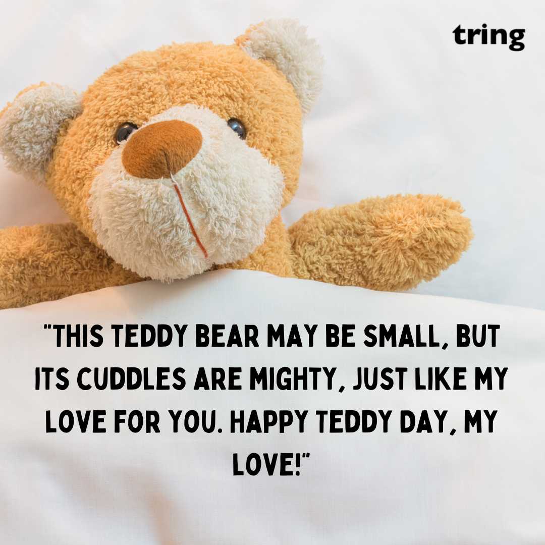 Cute Teddy Day Images (13)