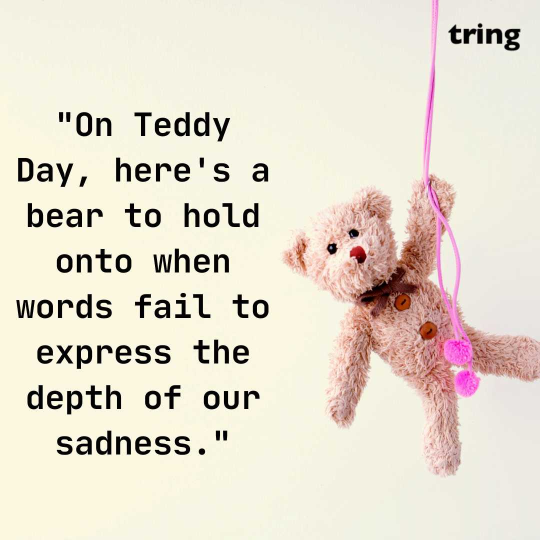 Sad Teddy Day Images (16)