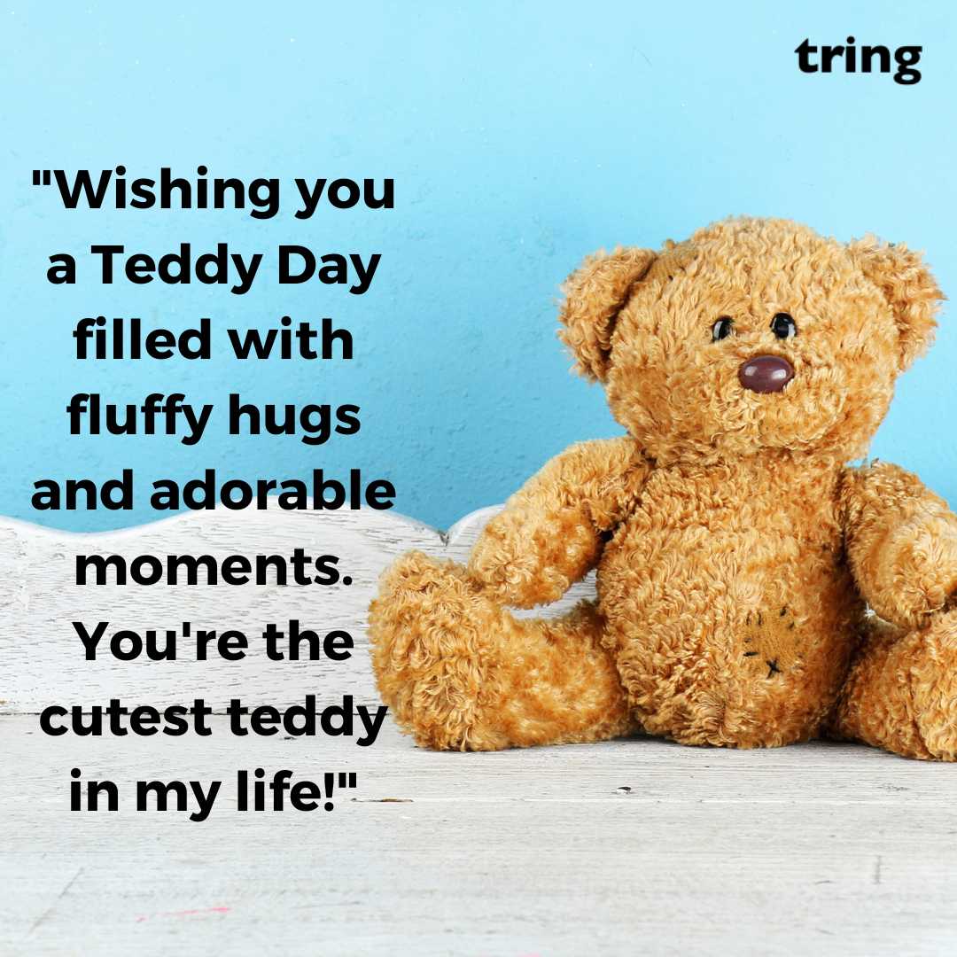 Cute Teddy Day Images (5)