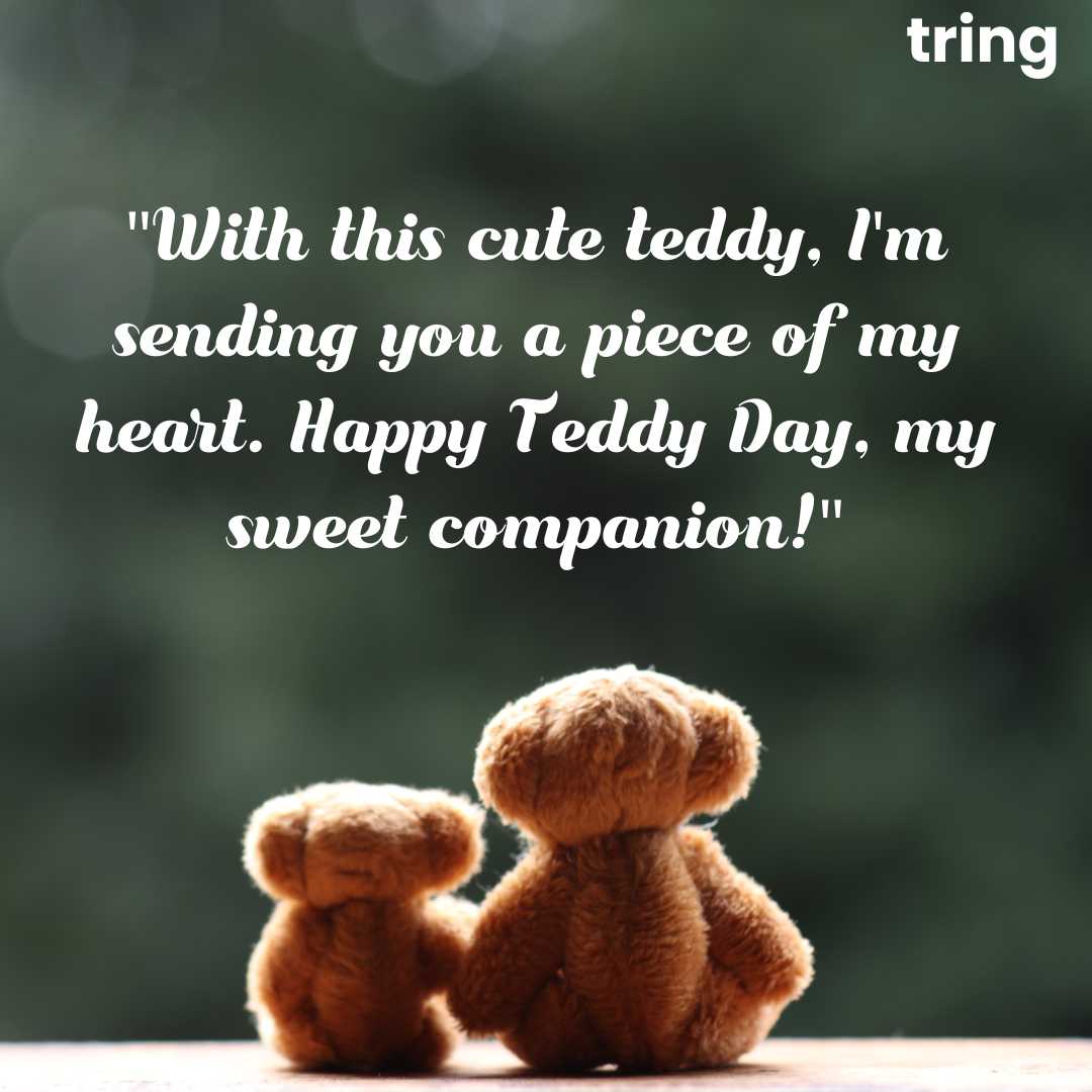 Cute Teddy Day Images (17)