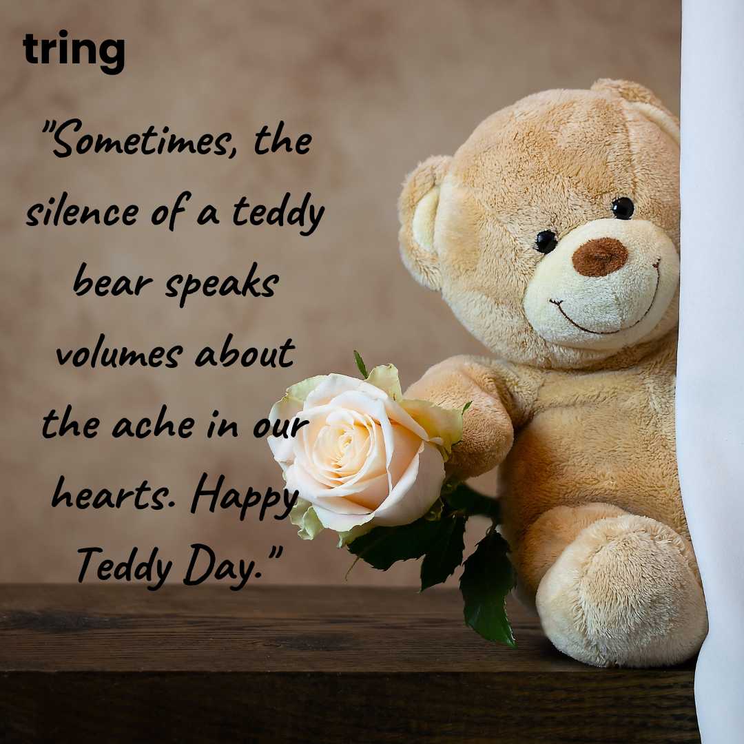 Sad Teddy Day Images (18)