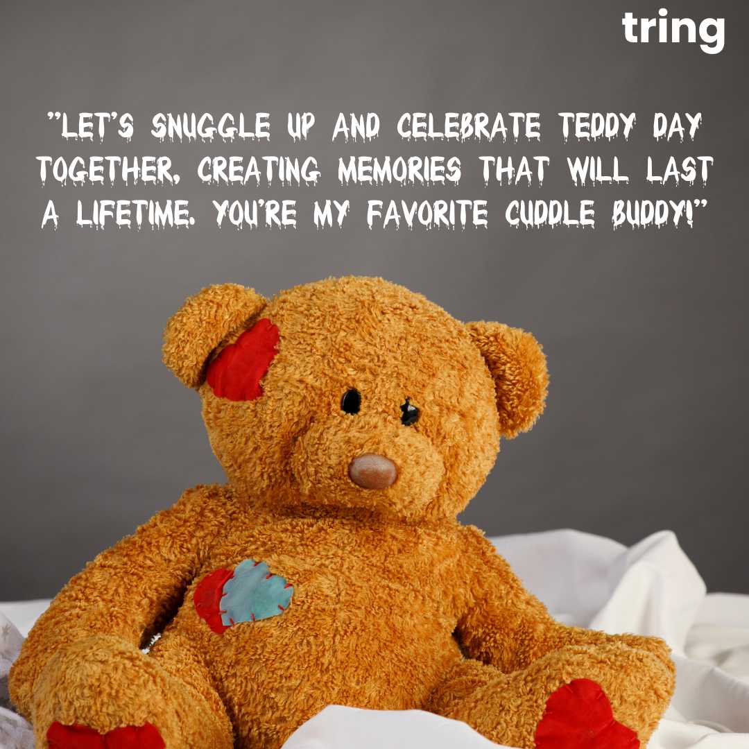 Cute Teddy Day Images (14)