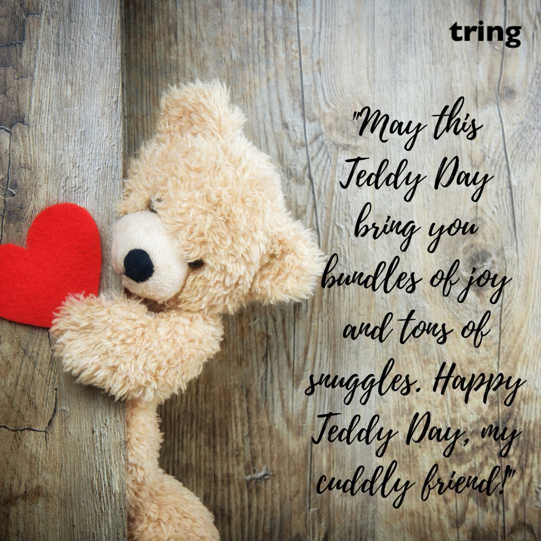 Cute Teddy Day Images (6)