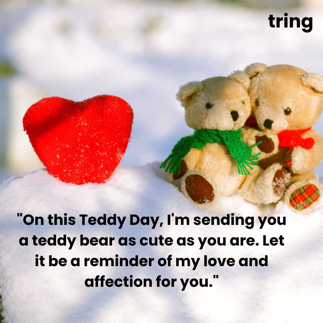 Teddy Day Greeting Cards (4)