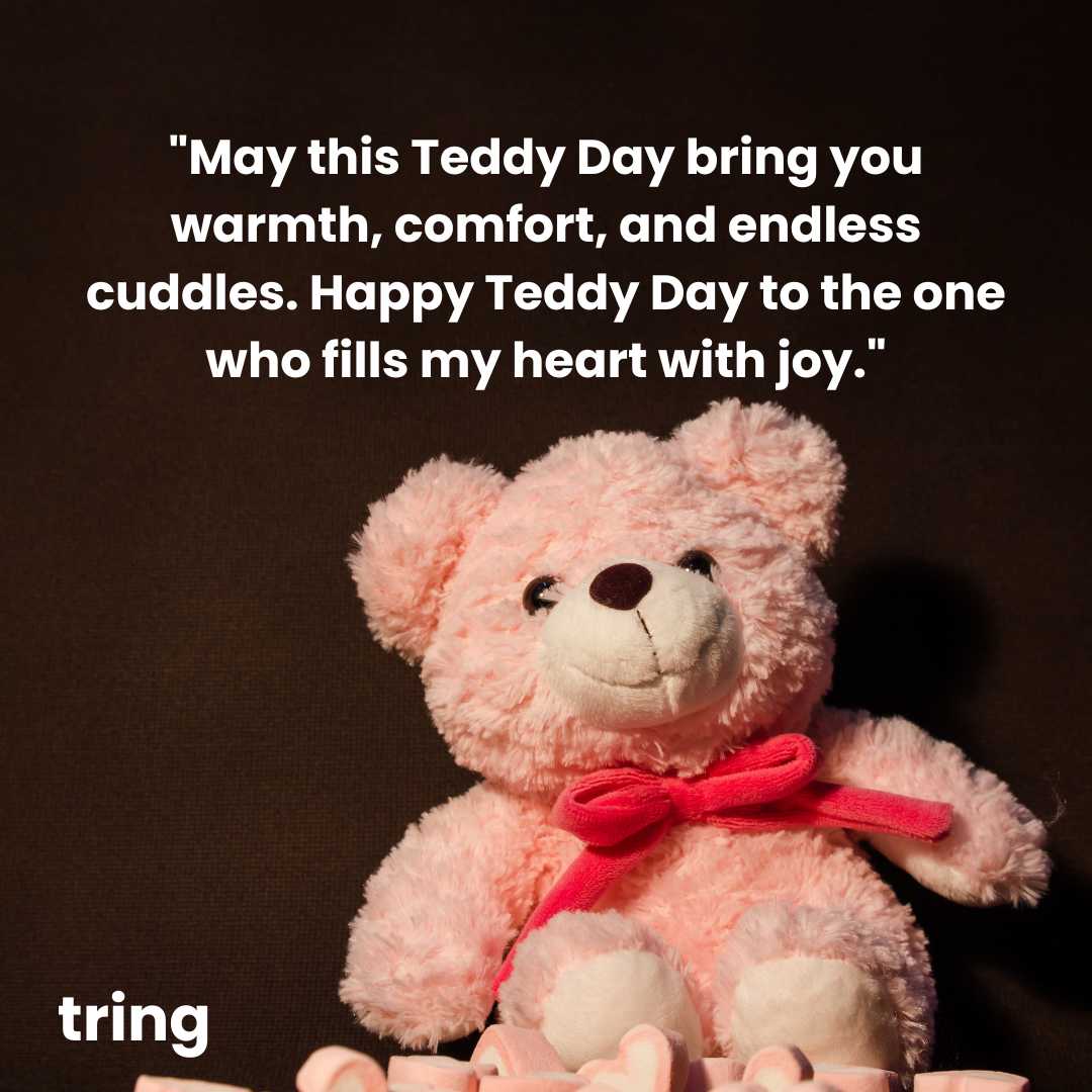 Teddy Day Greeting Cards (3)