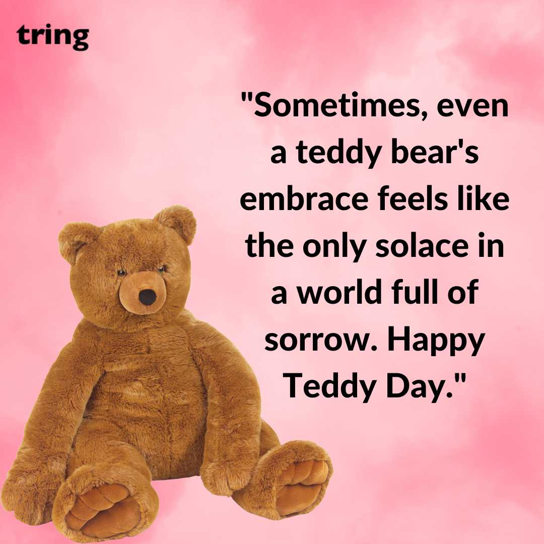 Sad Teddy Day Images (14)