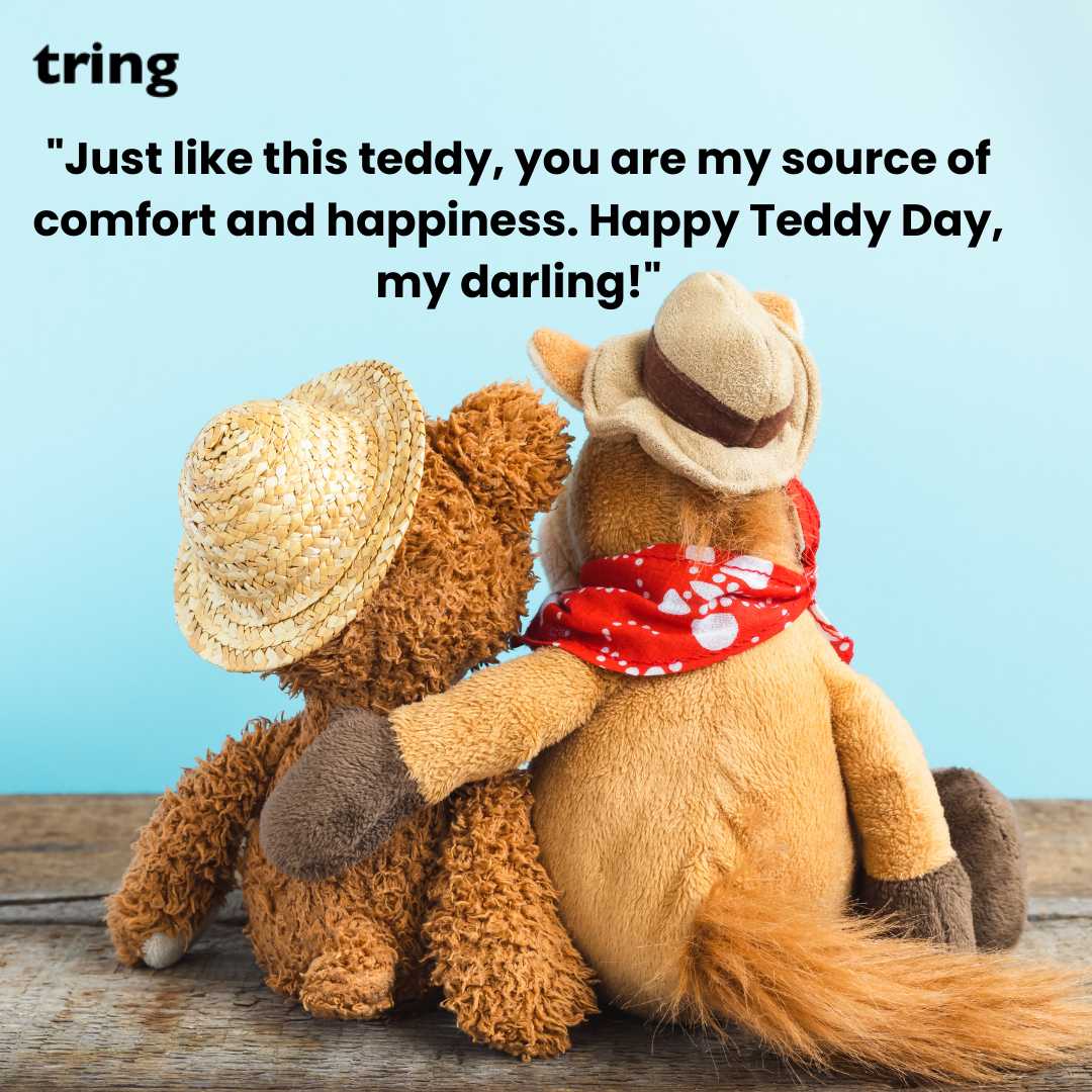 Romantic Teddy Day Images (15)