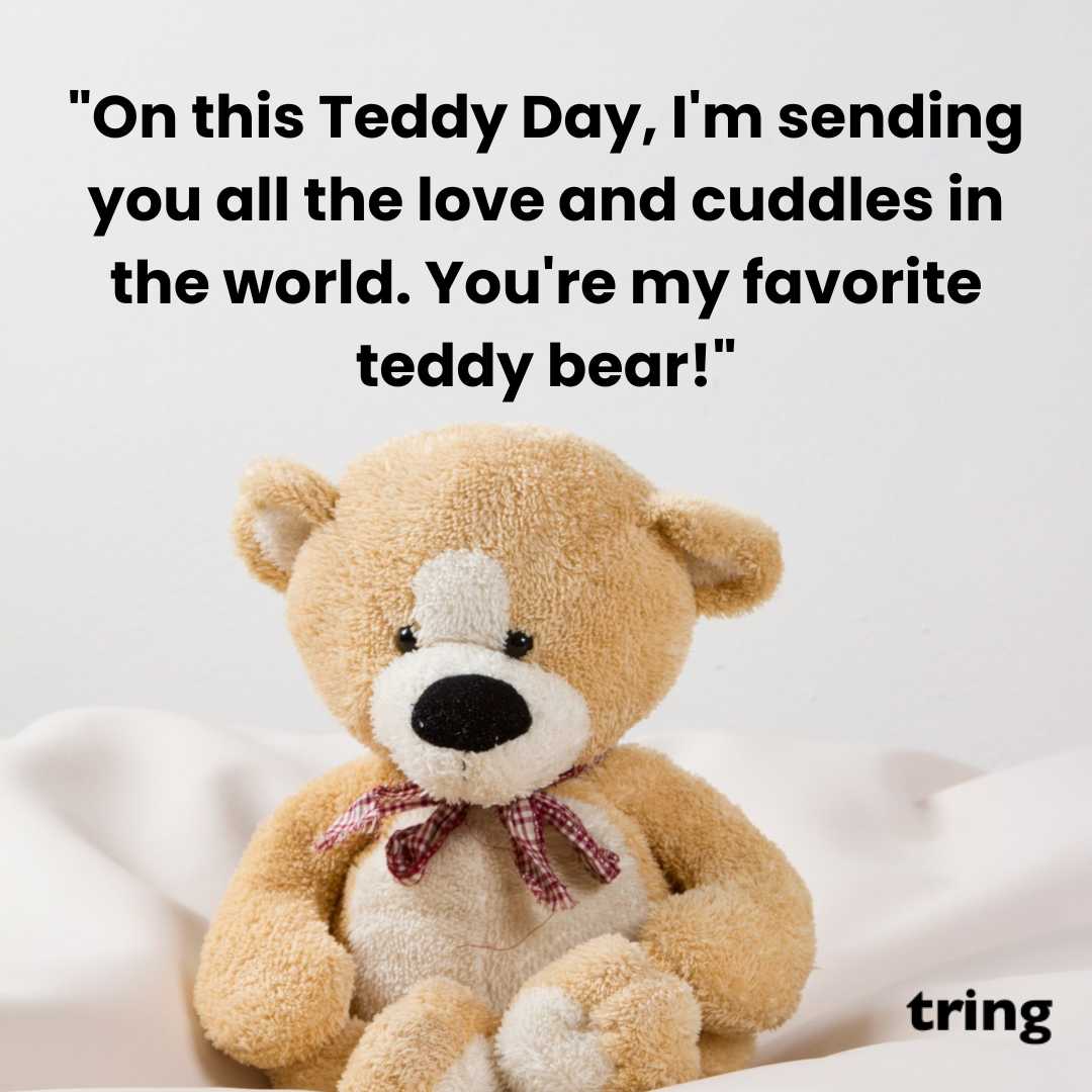 Cute Teddy Day Images (8)