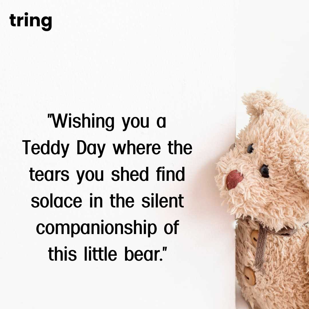 Sad Teddy Day Images (1)