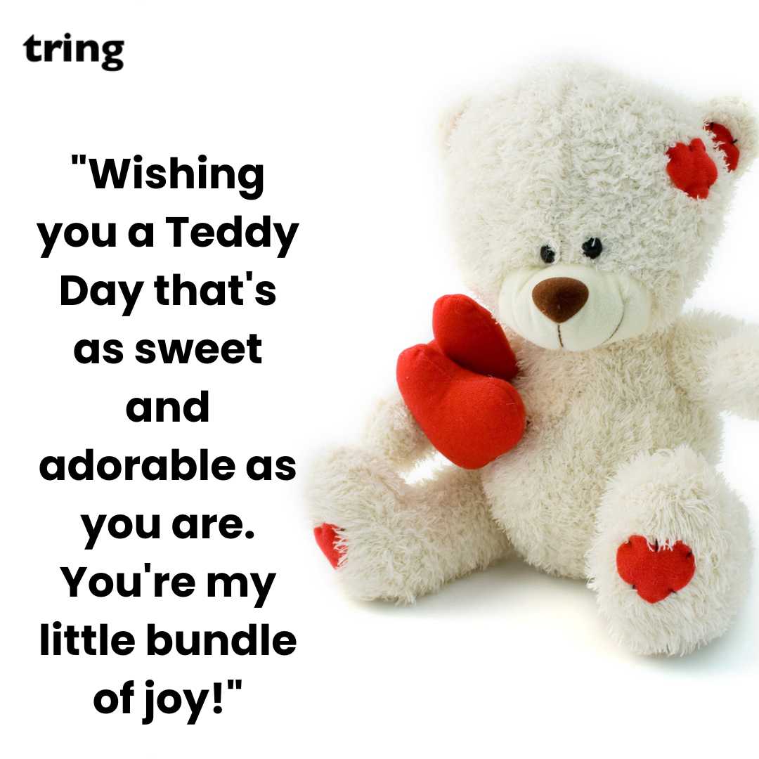 Cute Teddy Day Images (10)