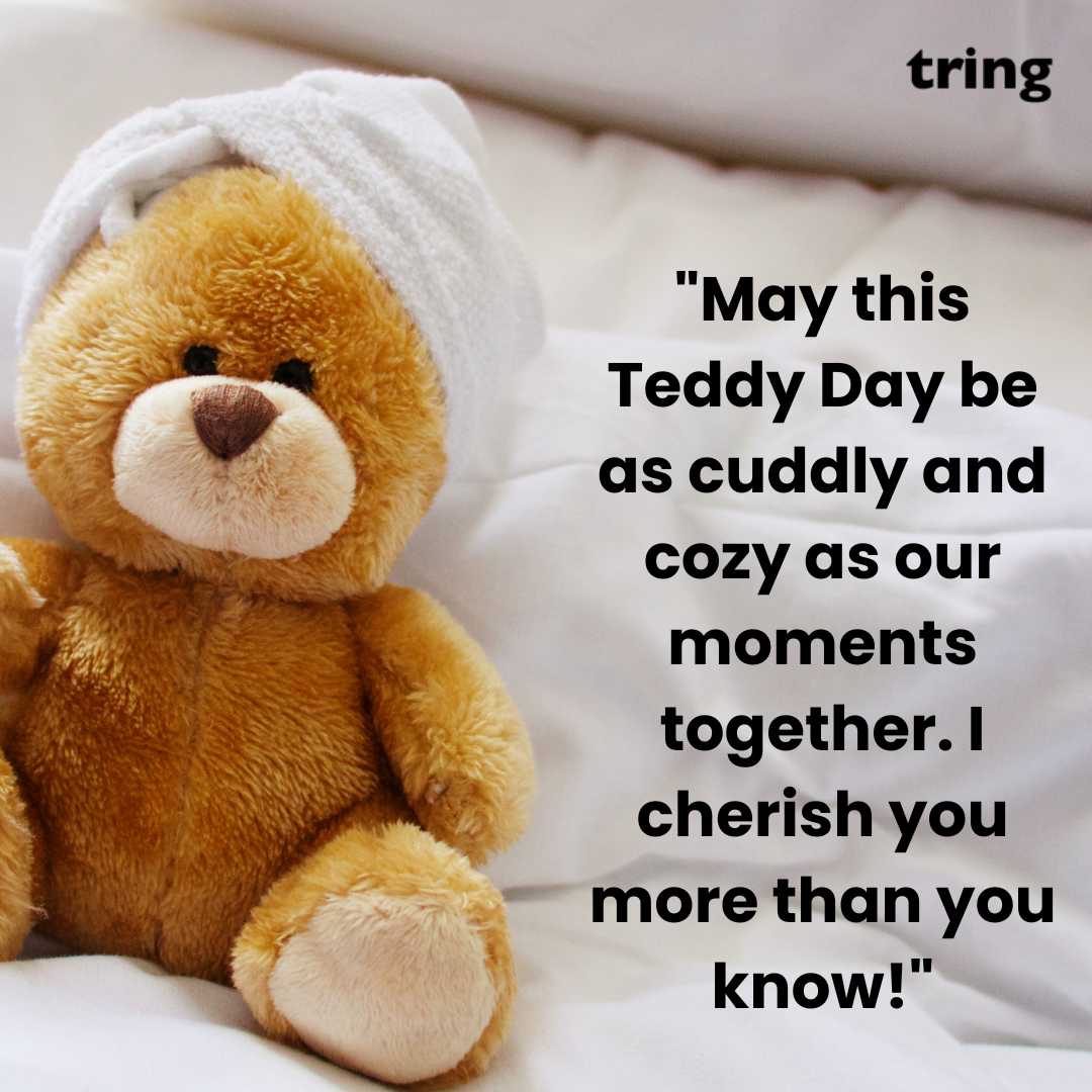 Cute Teddy Day Images (11)