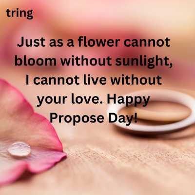 Propose Day Quotes for Wife