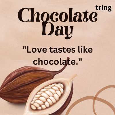 Short Captions for Chocolate Day