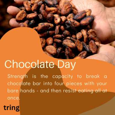 Funny Chocolate Day Quotes 