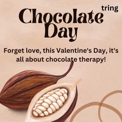 Funny Valentines Day Quotes About Chocolate 
