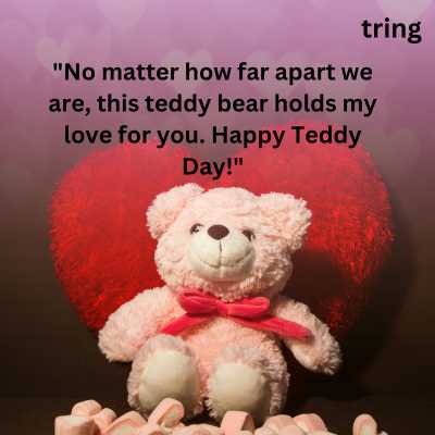Romantic Teddy Day Message for Wife