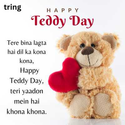 Teddy Day Shayari