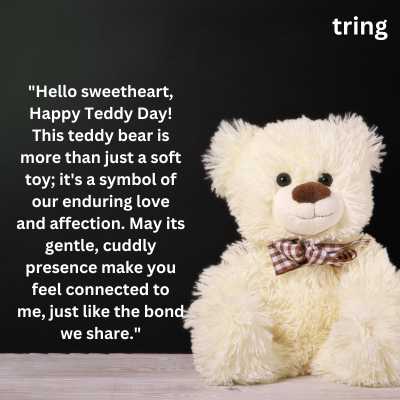 Video Teddy Day Messages