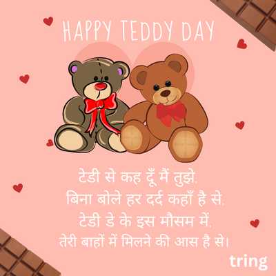 Teddy Day Shayari in Hindi