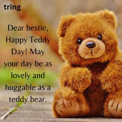 Teddy Day Wishes for Best Friend