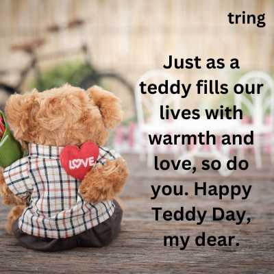 Romantic Teddy Day Quotes Lover