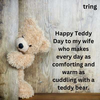 Teddy Day Quotes for Wife