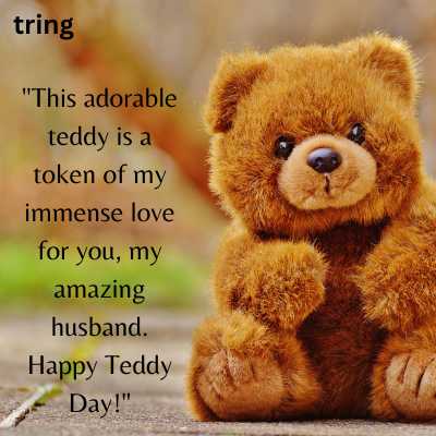 Teddy Day Wishes for Husband