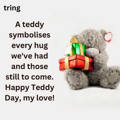 Cute Teddy Day Quotes Lover