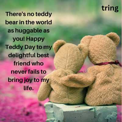 Happy Teddy Day Wishes for Best Friend