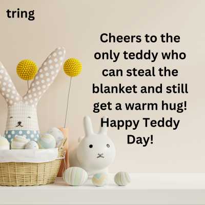 Funny Teddy Day Quotes Husband