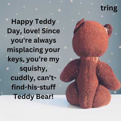 Funny Teddy Day Wishes For Boyfriend