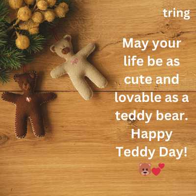 Teddy Day Messages for WhatsApp Status