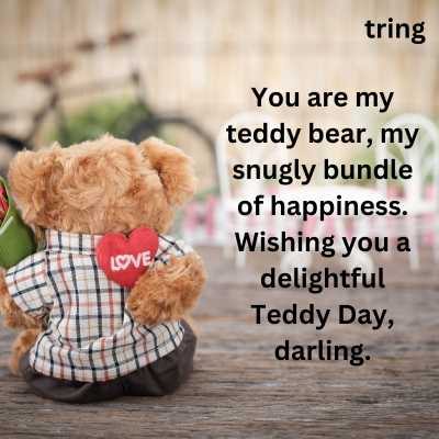 Teddy Day Quotes for Wife