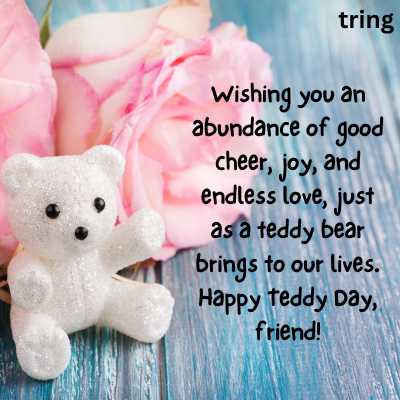 Happy Teddy Day Wishes for Friends