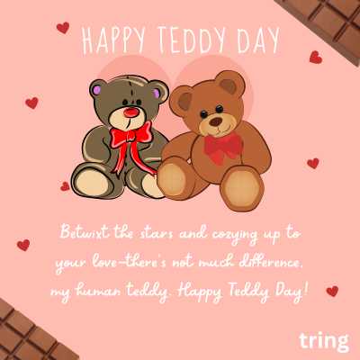 Cute Teddy Day Quotes Husband