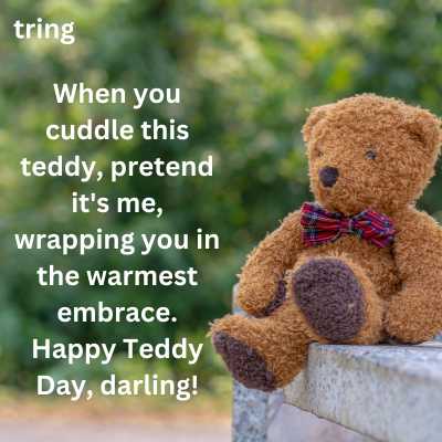 Teddy Day Quotes For Girlfriend on WhatsApp