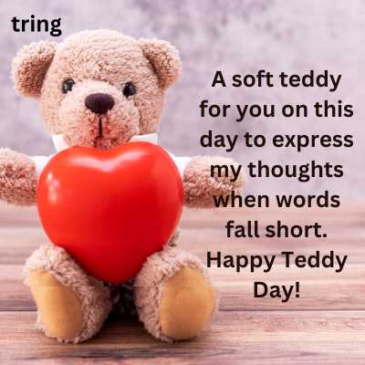 Happy Teddy Day for Love