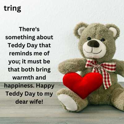 Teddy Day Greeting Card Messages for Wife