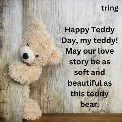 Romantic Teddy Day Wishes For Girlfriend